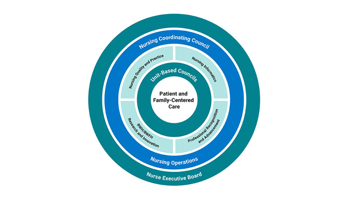 Shared Governance Model